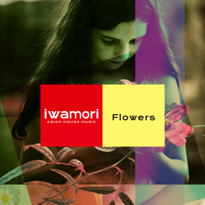 Flowers/iwamori