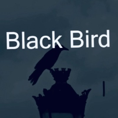 BlackBird/グレッチ