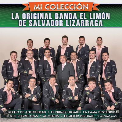 El Maestro (Album Version)/La Original Banda El Limon de Salvador Lizarraga