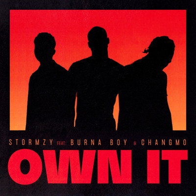 Own It (feat. Burna Boy & CHANGMO)/Stormzy
