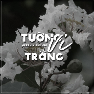 Tuong Vi Trang (feat. Green) [Beat]/Phu Qui