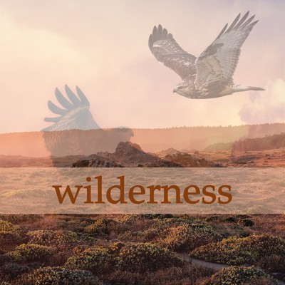 wilderness/Ryouta.H