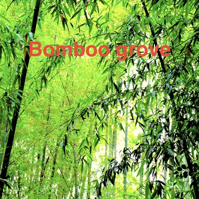 Bamboo grove/GAB