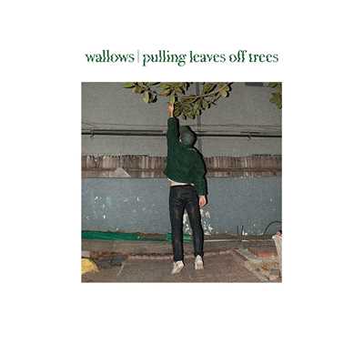 シングル/Pulling Leaves Off Trees/Wallows