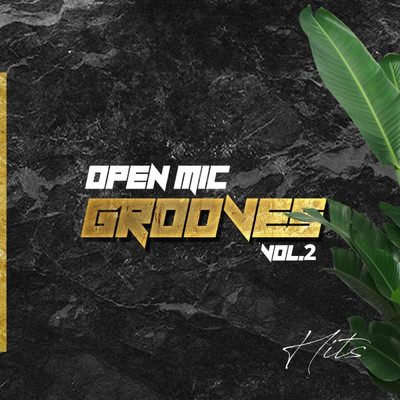 Open Mic Grooves, Vol. 2/Various Artists