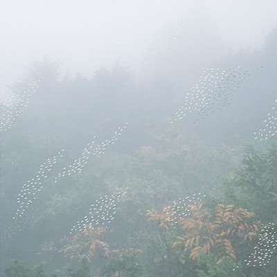 Mist/Chihei Hatakeyama