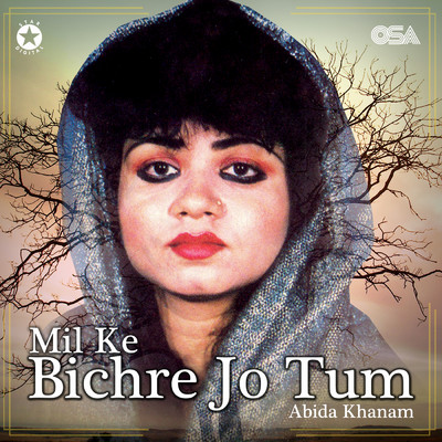 シングル/Bolo Bolo Ya Ali Haider/Abida Khanam