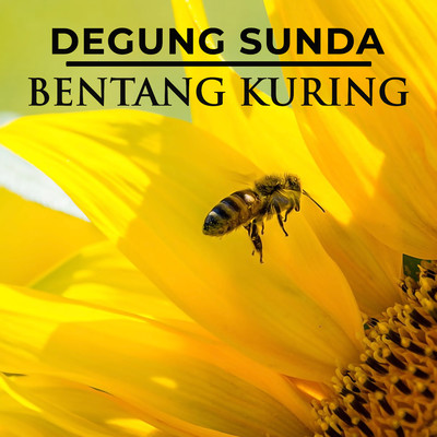 Degung Bentang Kuring/Nining Meida & Yus W.R