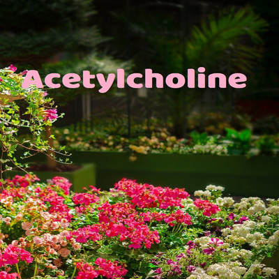 acetylcholine/Statusquarterman