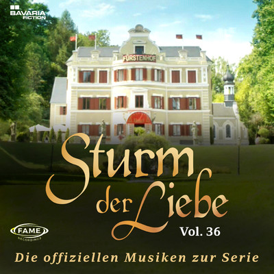 アルバム/Die offiziellen Musiken zur Serie Vol.36/Various Artists