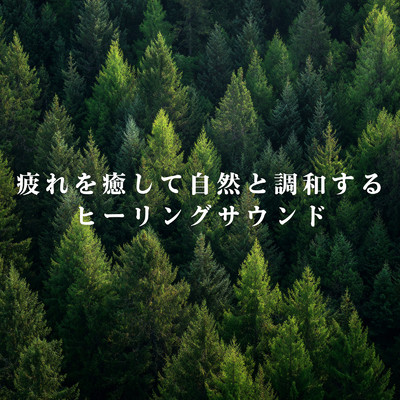 疲れを癒して自然と調和するヒーリングサウンド/Relax α Wave