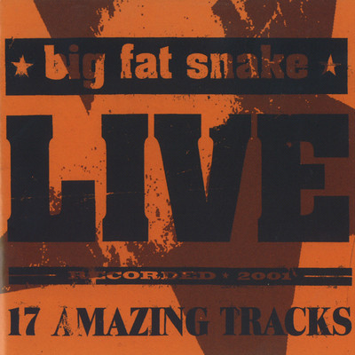 アルバム/Live (17 Amazing Tracks)/Big Fat Snake