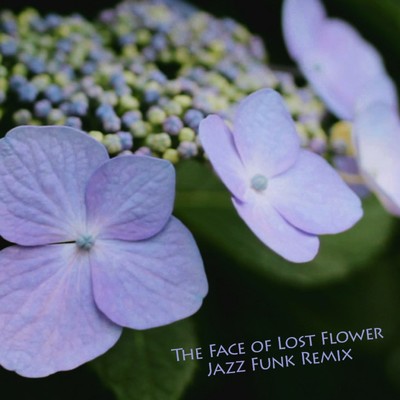 The Face of Lost Flower(Jazz Funk Remix)/JUNA feat. 初音ミク