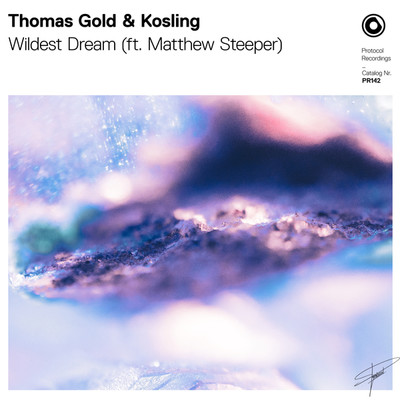 Wildest Dream/Thomas Gold & Kosling ft. Matthew Steeper