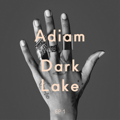Dark Lake (Tyler Pope Remix ／ LCD Soundsystem)/Adiam