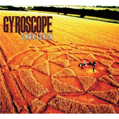 アルバム/Snakeskin/Gyroscope