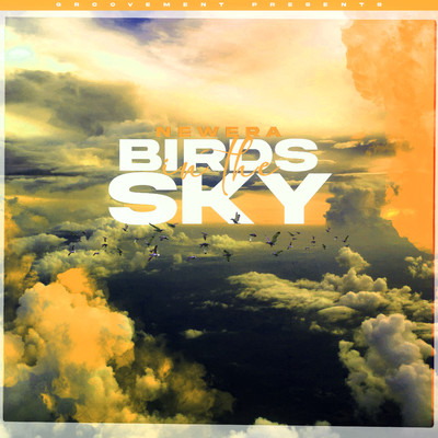 シングル/Birds In The Sky/NewEra