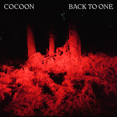 Back To One/Cocoon