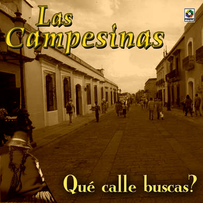 シングル/Tus Falsedades/Las Campesinas