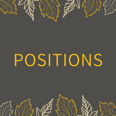 Positions/Sian Sison
