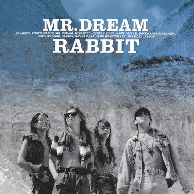 アルバム/MR.DREAM/RABBIT