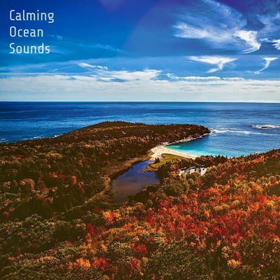 Shallow Sea/Ocean Waves, Ocean Sounds & Natural Sounds