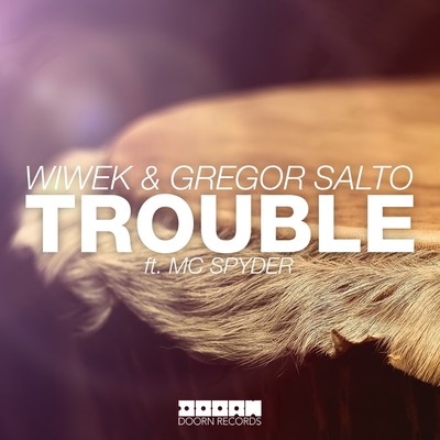 Trouble (feat. MC Spyder)/Wiwek／Gregor Salto