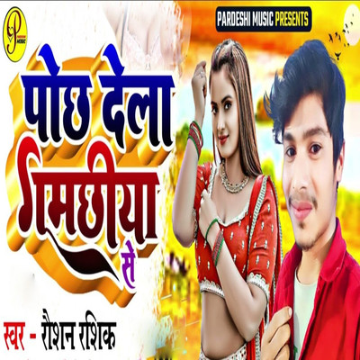 シングル/Pochh Dela Gamachhiya Se/Raushan Rashik, Sudhir Pardeshi & Chunna Chahal