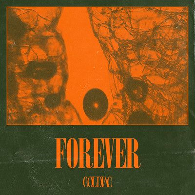 シングル/Forever/Coldiac