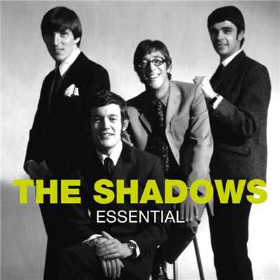 Theme for Young Lovers/The Shadows