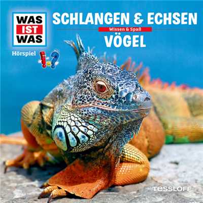 48: Schlangen & Echsen ／ Vogel/Was Ist Was