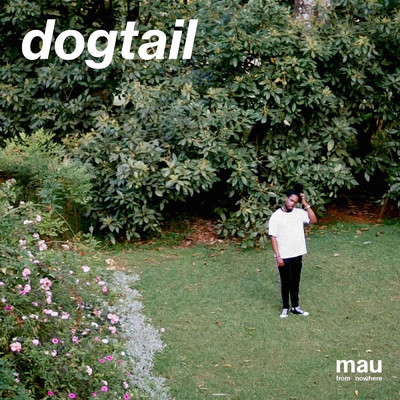 シングル/Dogtail/mau from nowhere