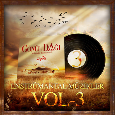 Gonul Dagi Enstrumantal Muzikler Vol 3/Sunay Ozgur & Mayki Murat Basaran & Engin Arslan
