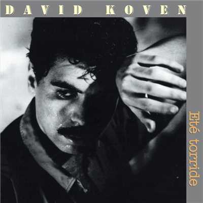 アルバム/Ete Torride/David Koven