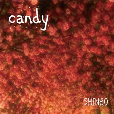 candy/SHINBO