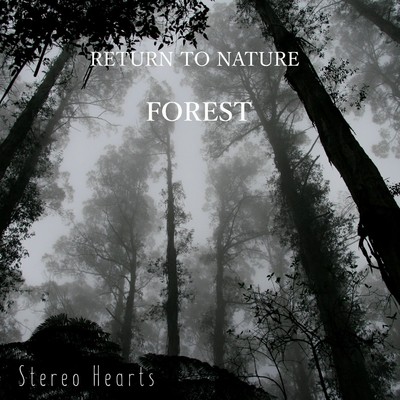 シングル/RETURN TO NATURE FOREST guitarsound/Stereo Hearts
