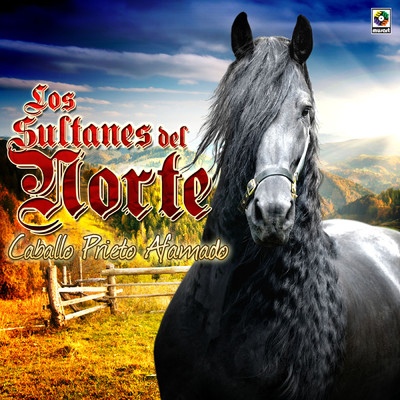 アルバム/Caballo Prieto Afamado/Los Sultanes Del Norte