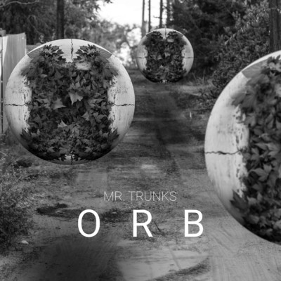 Orb/Mr. Trunks