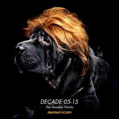 アルバム/DECADE 05-15 -The Greatest Works-/REMO-CON
