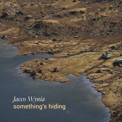 something's hiding/Jacco Wynia