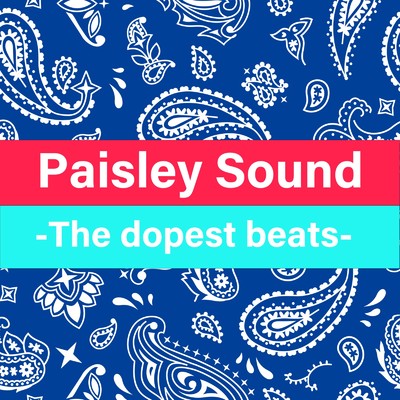 アルバム/The dopest beats for freestyle rap battle, Vol.3/Paisley Sound