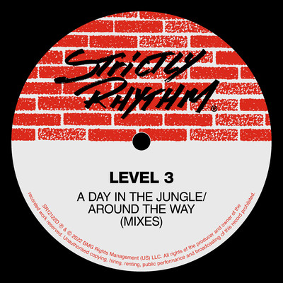 A Day In The Jungle ／ Around The Way (Mixes)/Level 3