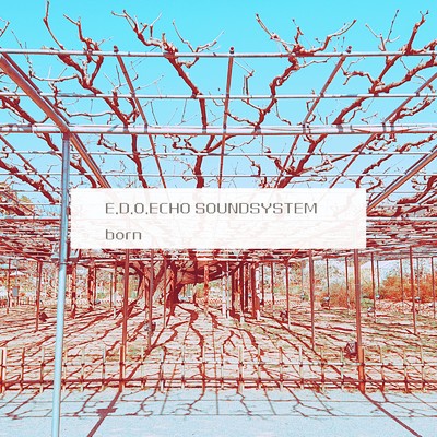 シングル/born/E.D.O.ECHO SOUNDSYSTEM