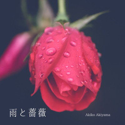 雨と薔薇/秋山暁子