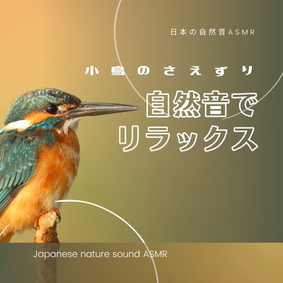 自然音-雨上がり、鳥のさえずり-/日本の自然音ASMR