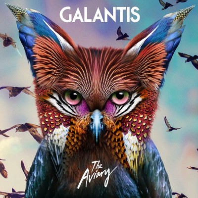 シングル/No Money/Galantis