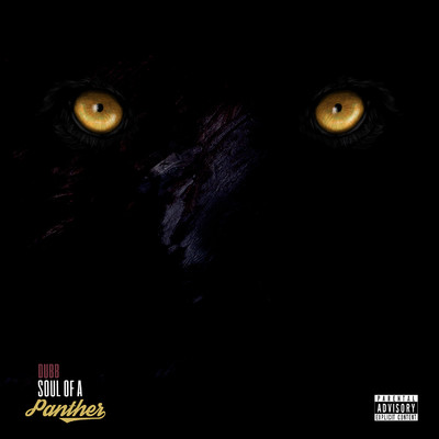 アルバム/Soul of a Panther/DUBB