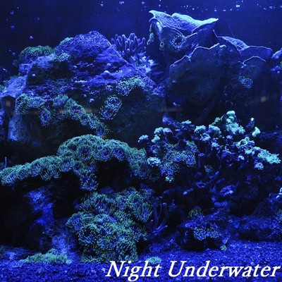Night Underwater/TandP