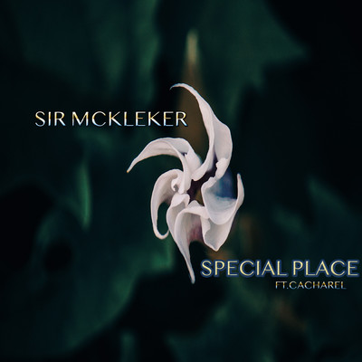 Special Place (feat. Cacharel)/Sir McKleker