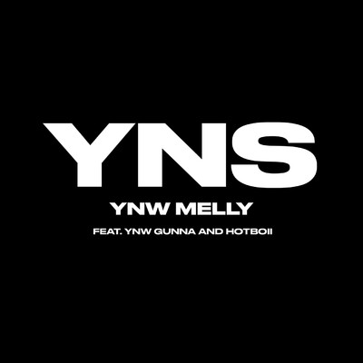 シングル/Yung Nigga Shit (feat. YNW Gunna & Hotboii)/YNW Melly